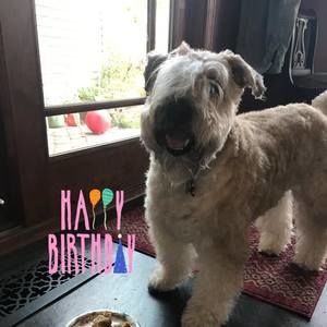 Meet your Posher, Terri